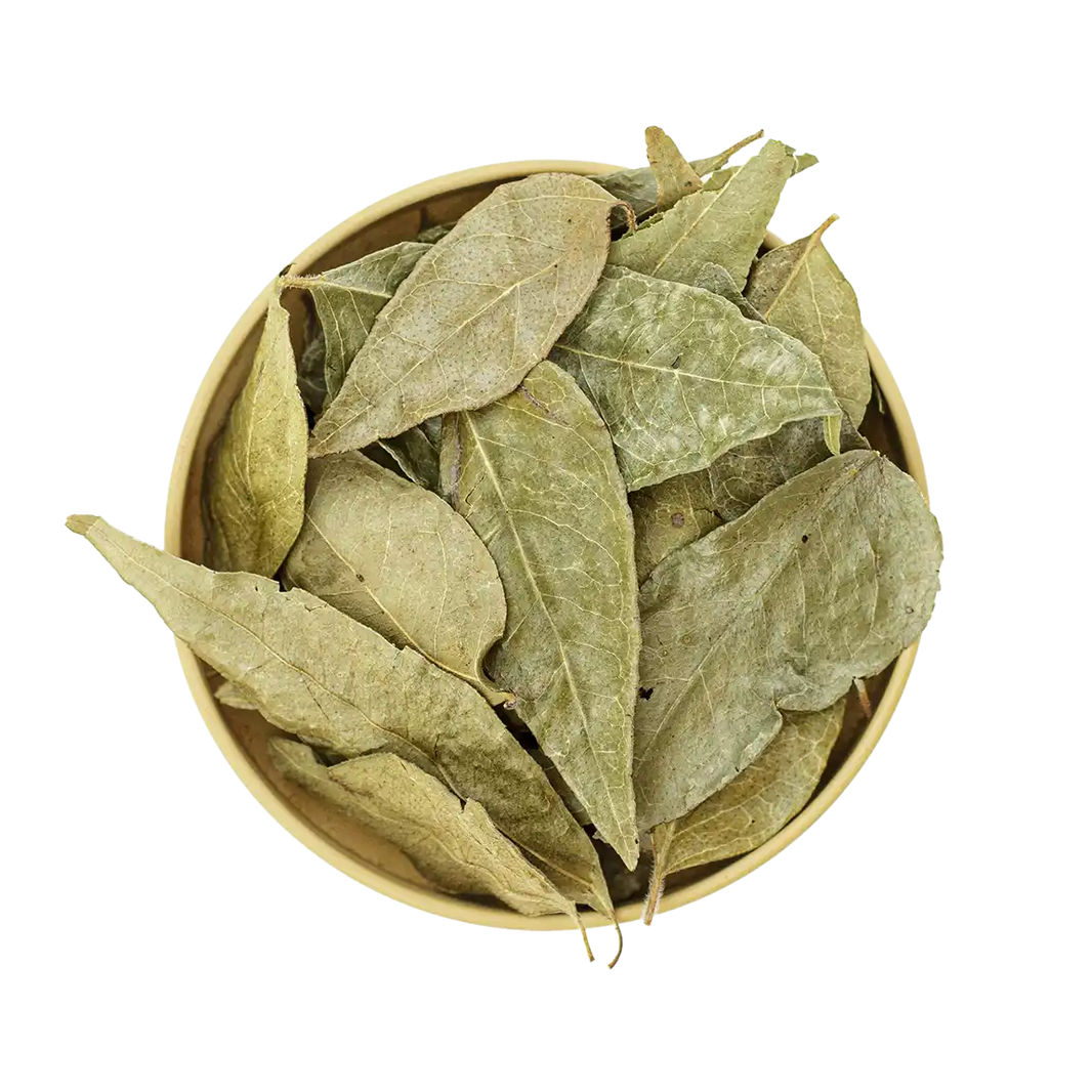 Curry Blätter – aromatische Blätter für indische Currys, Eintöpfe und Gemüsegerichte