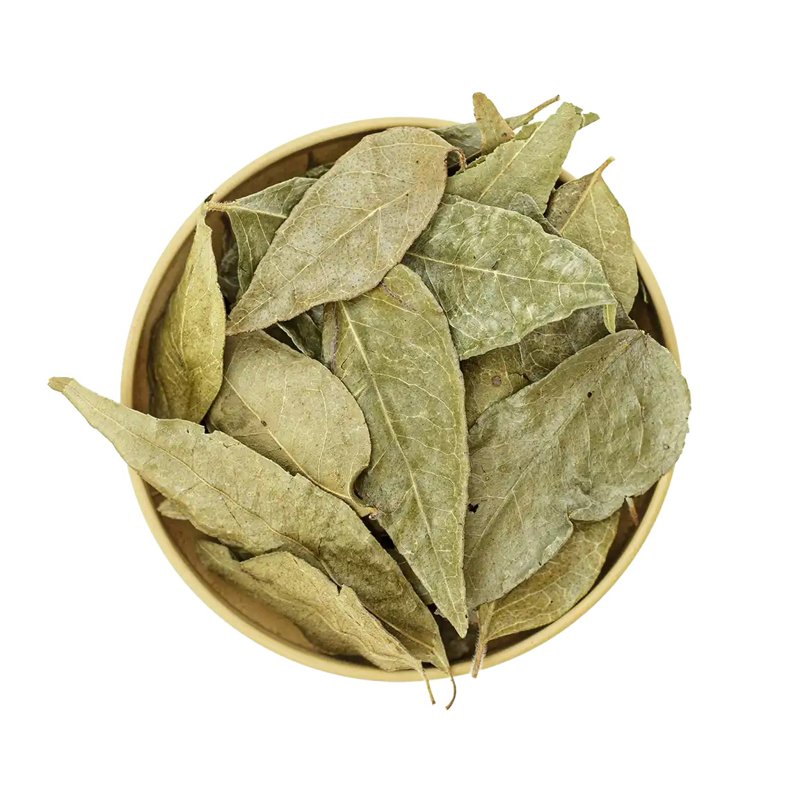 Curry Blätter – aromatische Blätter für indische Currys, Eintöpfe und Gemüsegerichte
