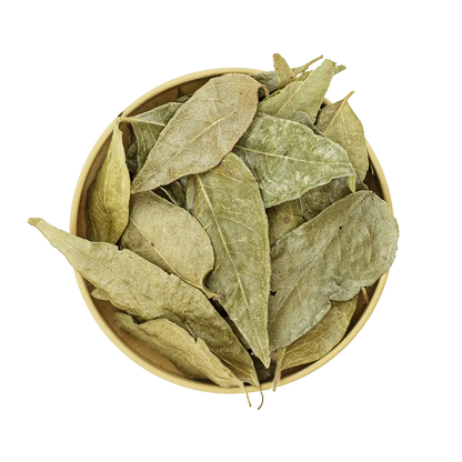 Curry Blätter – aromatische Blätter für indische Currys, Eintöpfe und Gemüsegerichte