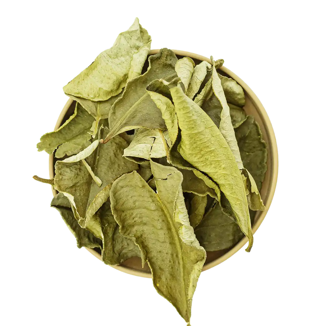 Kafir Blätter – getrocknete Blätter für Currys, Suppen und thailändische Gerichte