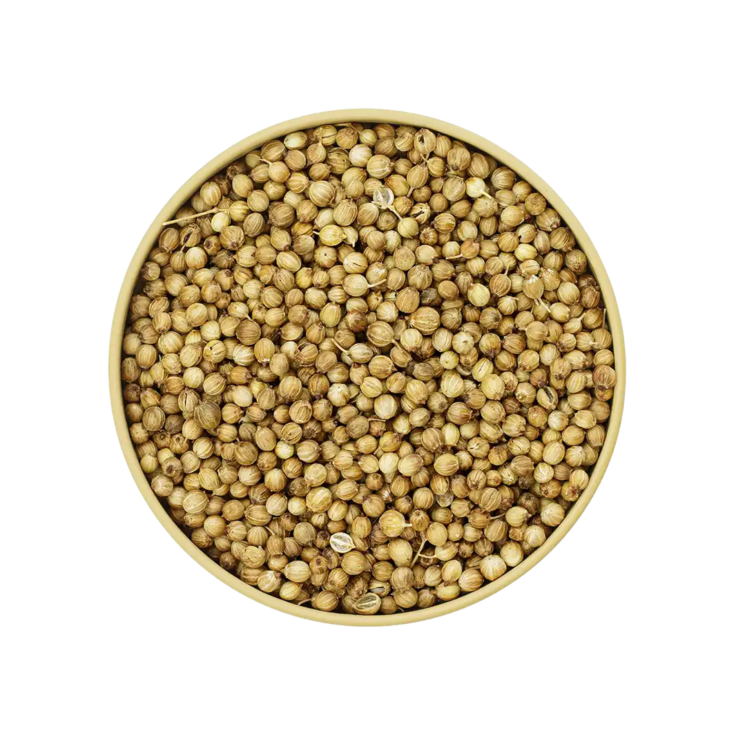 Koriander ganz – ganze Koriandersamen für Currys, Marinaden und Eintöpfe