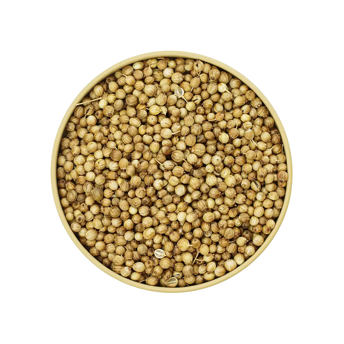 Koriander ganz – ganze Koriandersamen für Currys, Marinaden und Eintöpfe