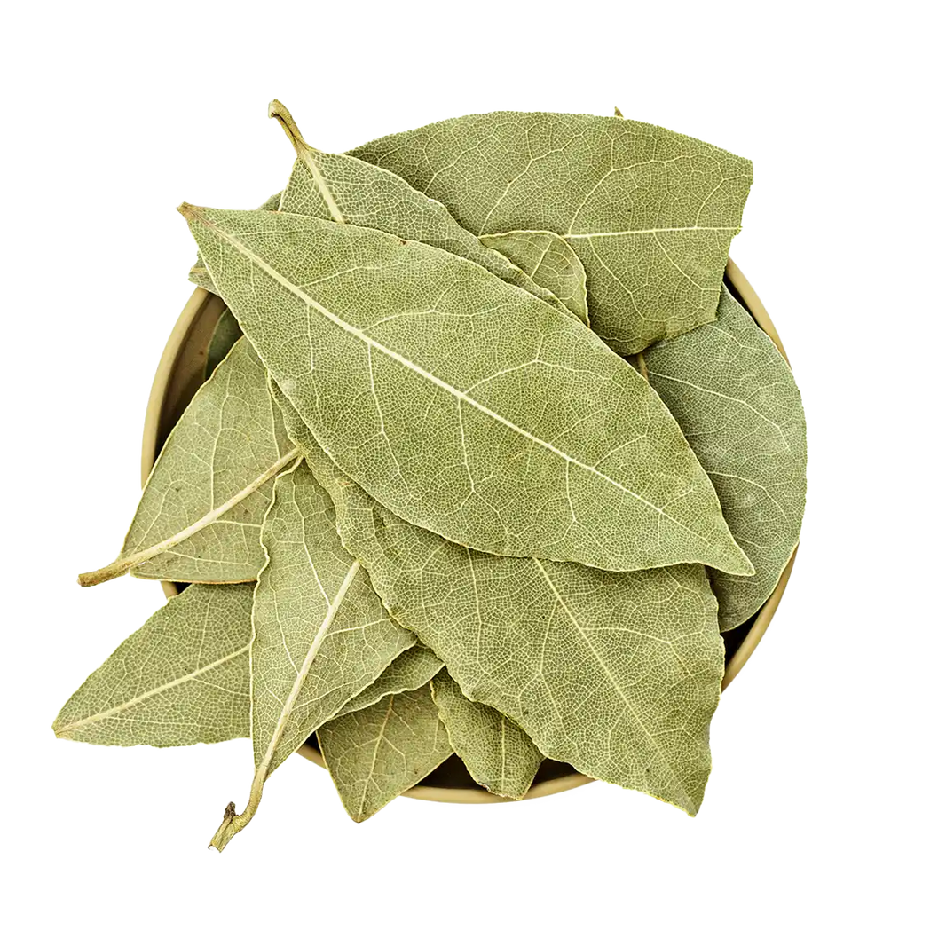 Lorbeerblätter – getrocknete Lorbeerblätter mit kräftig-würzigem Duft