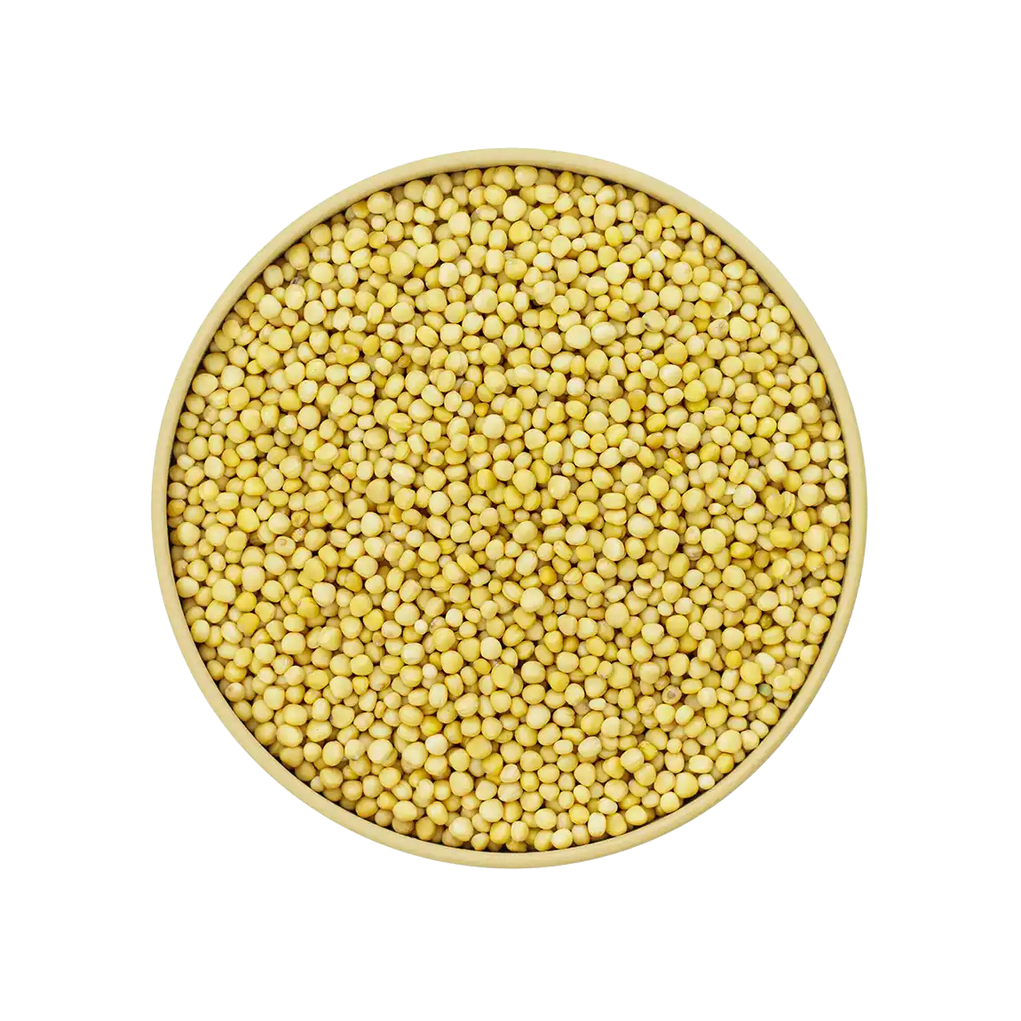 Senfkörner gelb – milde gelbe Senfkörner mit würzigem Aroma