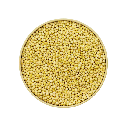 Senfkörner gelb – milde gelbe Senfkörner mit würzigem Aroma